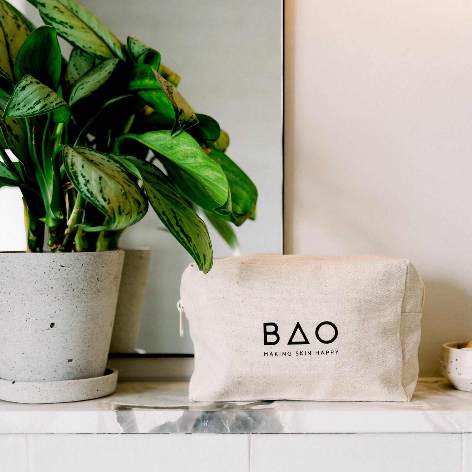 Bao bao hot sale cosmetic bag